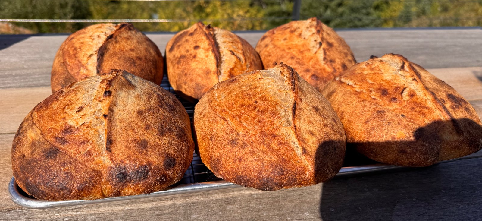 Action shot with an annoying shadow. This is why I normally take bread picks out of direct sun. But the light makes it look so good…